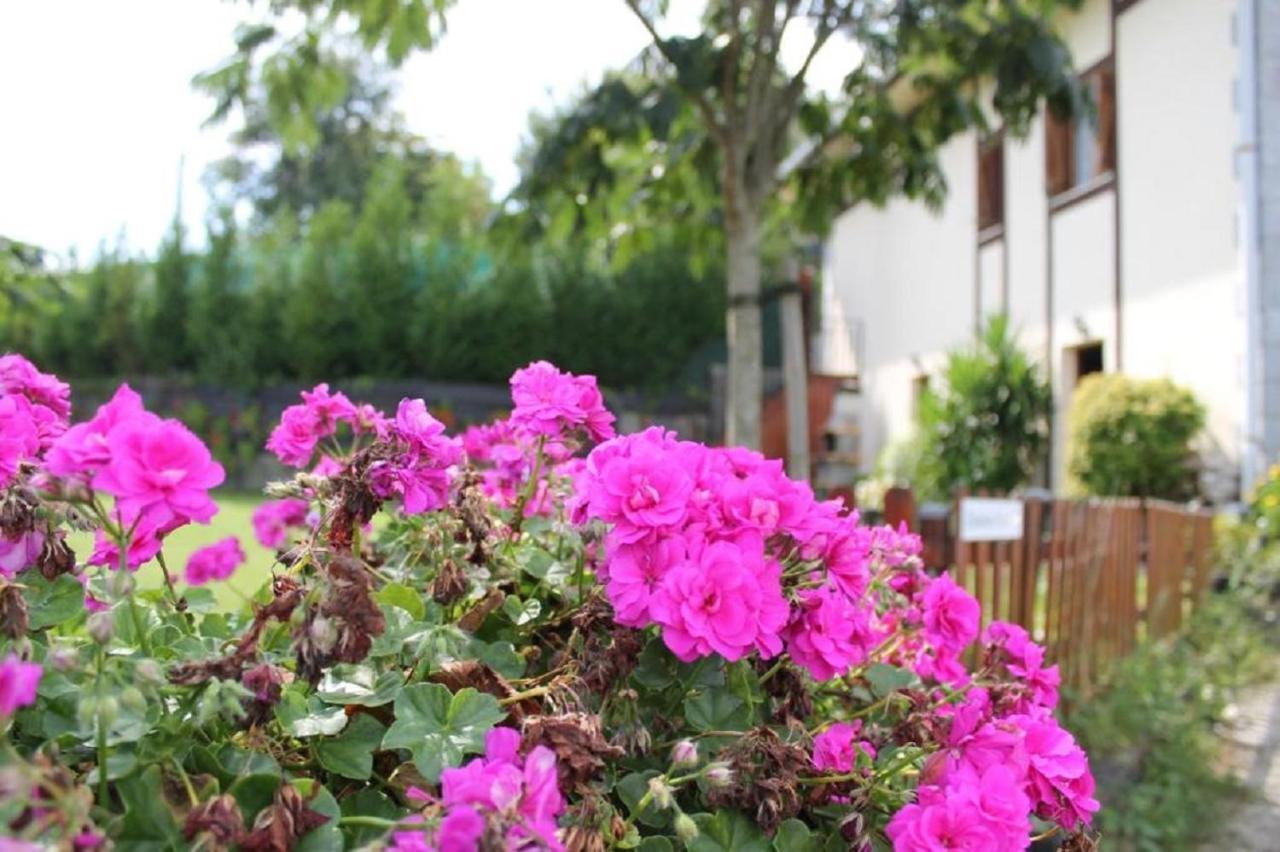 Itziar Casa Rural Zelaieta Berribi المظهر الخارجي الصورة